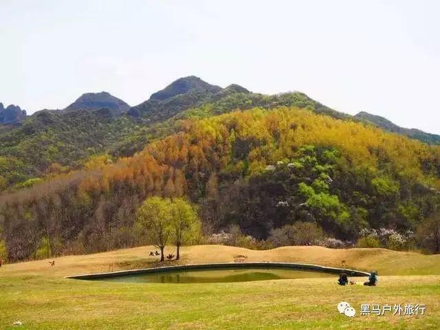 情侣出去旅游,该如何规划呢?-机智问答网页